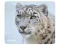 Allsop Podložka pod myš - Sněžný leopard