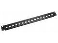 19" Neosazený Patch panel 16 port
