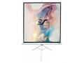 ELITE SCREENS plátno mobilní trojnožka, 119"(1:1) 