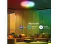 Tellur WiFi Smart LED kulaté stropní světlo, 24W, 