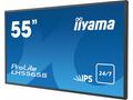 Monitor IIyama LH5565S-B1 55", AMVA3, Full HD, HDM