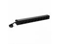 LEGRAND PDU Základní, 1U-19", výstup 9x 230V (CZ, 