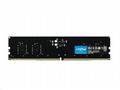 Crucial - DDR5 - modul - 8 GB - DIMM 288-pin - 560