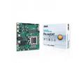ASUS PRO A620AT-CSM