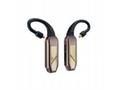 iFi Go pod Max