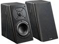 SVS PRIME ELEVATION BLACK ASH
