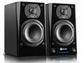 SVS PRIME WIRELESS Pro Powered Speaker PGB
