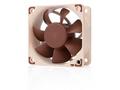 NOCTUA Ventilátor NF-A6x25-PWM, 60mm, hnědá