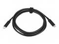 HP USB-C to USB-C 100W Cable 