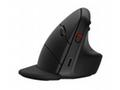 HP 920 Ergonomic Wireless Mouse - bezdrátová ergon
