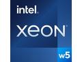 Intel Xeon W W5-2445 - 3.1 GHz - 10-jádrový - 20 v