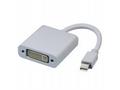 PremiumCord Adapter miniDP - DVI, M, F