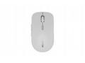 CANYON mouse MW-12 Dual band Wireless Beige