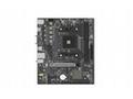SAPPHIRE A520M-E, AM4, mATX