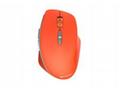 CANYON myš optická bezdrátová MW-21R, nastavitelné