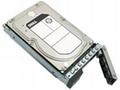 Dell, 8TB, HDD, 3.5", SAS, 7200 RPM, 1R