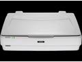 Epson Expression 13000XL