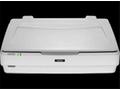 Epson Expression 13000XL