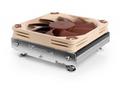 Noctua NH-L9i 17xx low-profile CPU cooler, Intel L