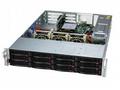 SUPERMICRO WIO A+ Ser 2U UP WIO with 12 hot-swap 3