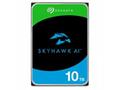 Seagate SkyHawk AI 10TB HDD, ST10000VE001, Interní
