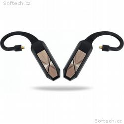 iFi Go pod