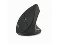 ACER Vertical wireless mouse