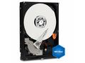 WD Blue, 500GB, HDD, 3.5", SATA, 7200 RPM, 2R