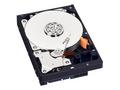 WD Blue, 500GB, HDD, 3.5", SATA, 7200 RPM, 2R