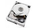 Seagate IronWolf Pro ST10000NT001 - Pevný disk - 1