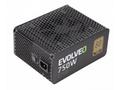 EVOLVEO G750 zdroj 750W, eff 91%, 80+ GOLD, aPFC, 