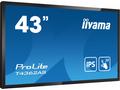43" iiyama T4362AS-B1:IPS, 4K UHD, Android, 24, 7