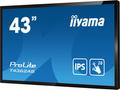 iiyama ProLite T4362AS-B1 - 43" Třída úhlopříčky (