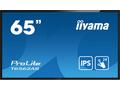 65" iiyama T6562AS-B1: IPS, 4K UHD, Android, 24, 7