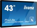 43" iiyama TF4339MSC-B1AG: AMVA, FullHD, capacitiv