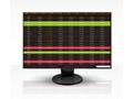 EIZO FlexScan EV2456-BK - LED monitor - 24.1" - 19