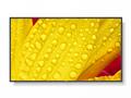 50" LED NEC ME501,3840x2160, VA, 18, 7,400cd