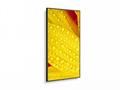 50" LED NEC ME501,3840x2160, VA, 18, 7,400cd