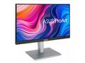 Asus, PA247CV, 23,8", IPS, FHD, 75Hz, 5ms, Silver,