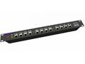 POE Gigabitový Patch panel Cat5 19" 12port 1U