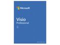 Microsoft Visio Professional 2021 - Licence - 1 PC