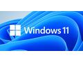 Microsoft Windows 11 Home 64-bit CZ OEM 1pk DVD