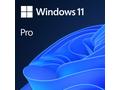 Microsoft Windows 11 Pro 64-bit CZ OEM 1pk DVD (lz