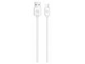 ALIGATOR Datový kabe 2A USB-C 2m, bílý