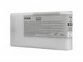 Epson - 200 ml - světle černý - originální - inkou