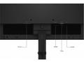 Lenovo ThinkVision, S22e-20, 21,5", VA, FHD, 75Hz,