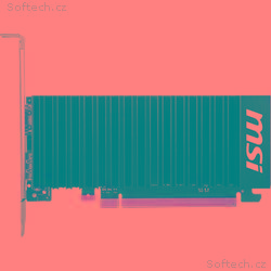 MSI GT 1030 2GHD4 LP OC