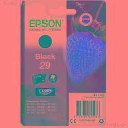 Epson Singlepack Black 29 Claria Home Ink