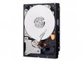 WD Blue WD10EZEX - Pevný disk - 1 TB - interní - 3