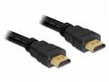Delock High Speed HDMI with Ethernet - Kabel HDMI 